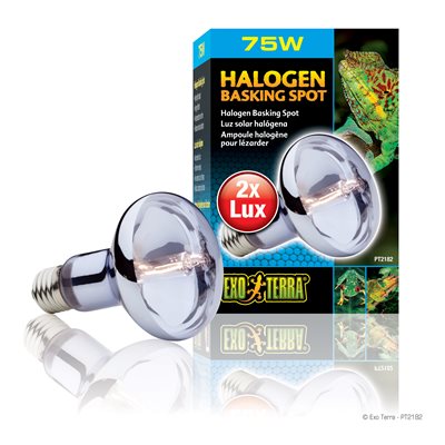 Ampoule halogène Sun Glo Exo Terra à lumière du jour et au néodyme, 75 W