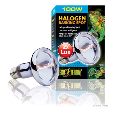 Ext Sunglo Daylite Halogen L.110V 100W-V