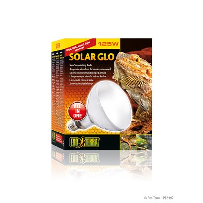 Ampoule Solar Glo Exo Terra simulant la lumière du soleil, 125 W