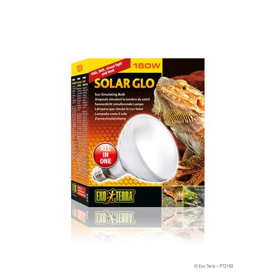 Ampoule Solar Glo Exo Terra simulant la lumière du soleil, 160 W