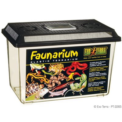 Exo Terra Faunarium, Grand