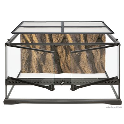 Ex All Glass Terrarium-60X45X30Cm W/Bg