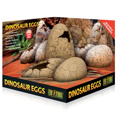 Oeuf De Dinosaure Exo Terra