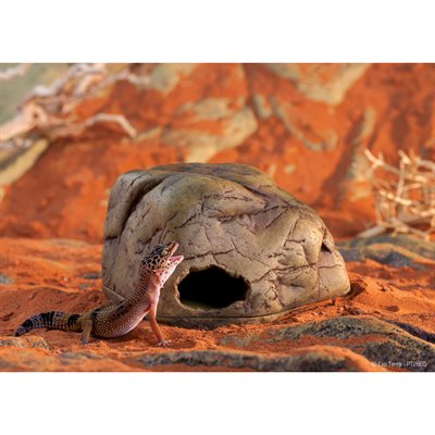 Grotte Gecko Cave Exo Terra, moyenne