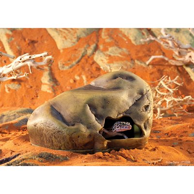 Grotte Gecko Cave Exo Terra, grande