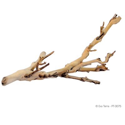 Branche d'arbre Exo Terra, petite