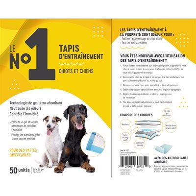 Le No1 Tapis D'Entrainement Regulier 100/Pqt