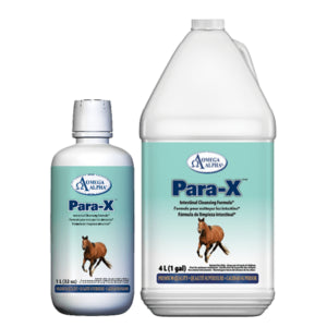 Para-X 4L
