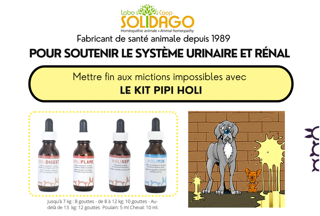 Holidago Kit Pipi-Holi