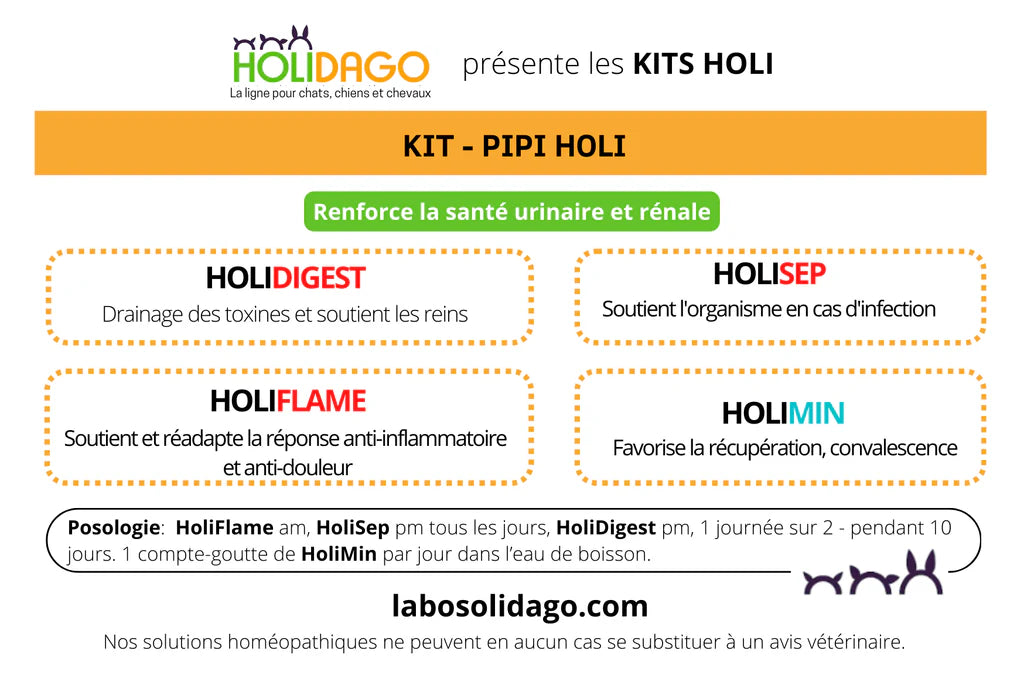Holidago Kit Pipi-Holi