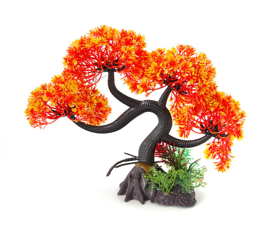AQUA-FIT Plante en plastique Bonsaï Orange Incliné, 28 cm