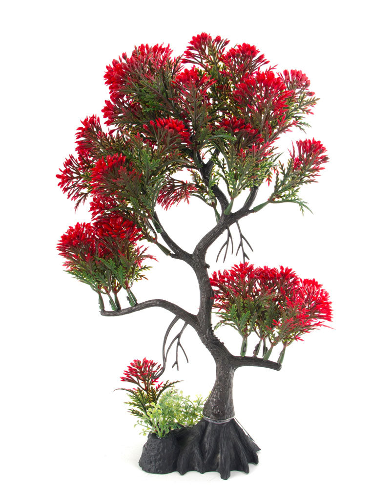 AQUA-FIT Plante en plastique Bonsaï Pin Rouge, 28 cm