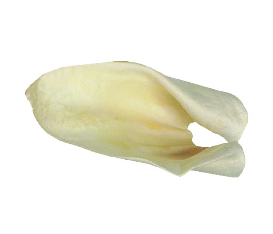 Redbarn Oreilles De Vache