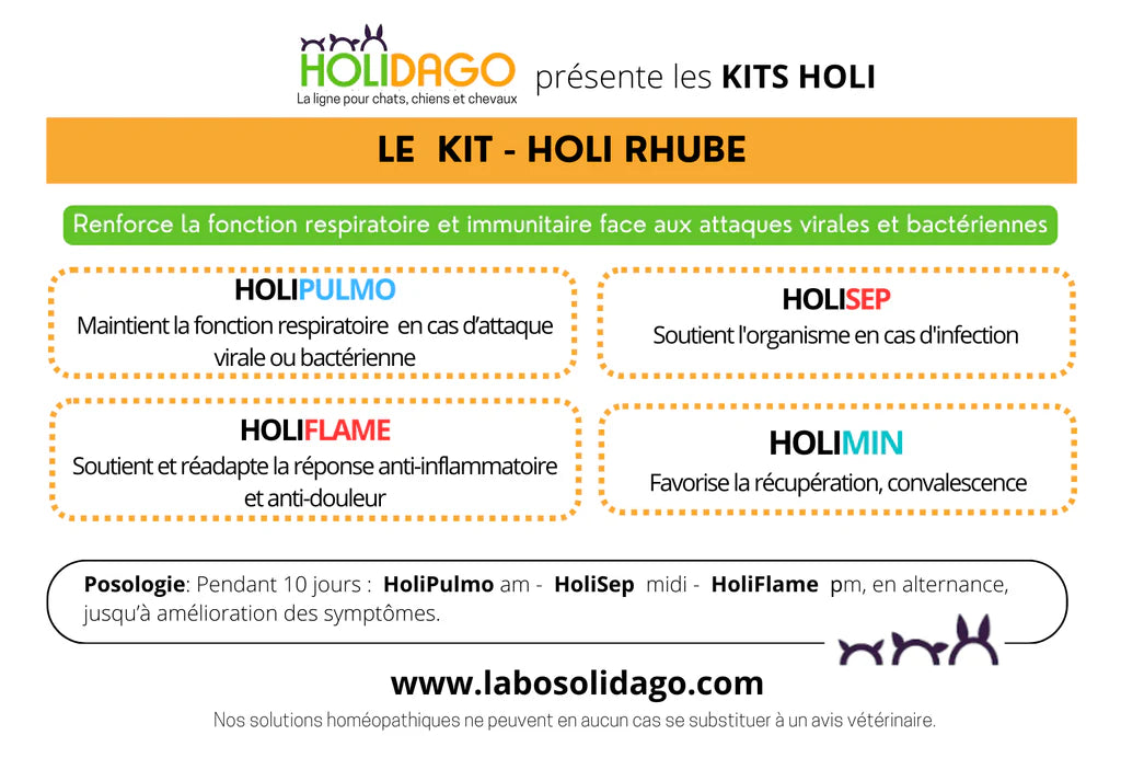 Holidago Kit Holi Rhube