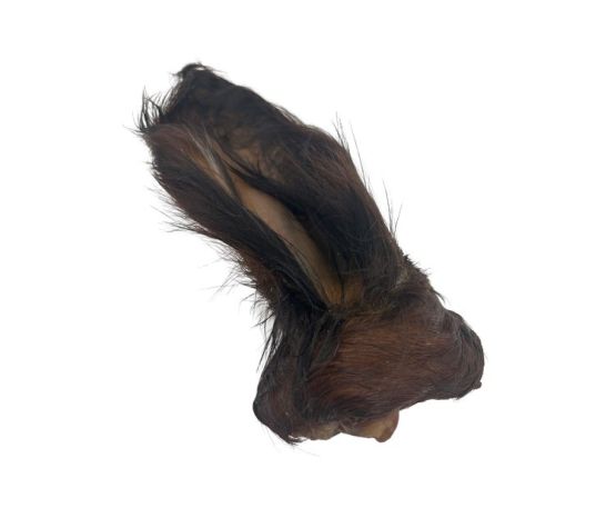 Wawwaw Oreille De Boeuf Poilue Pour Chien