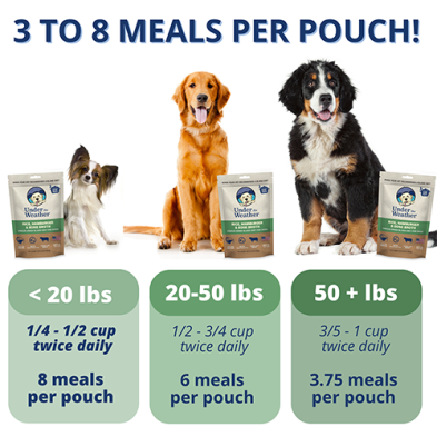 Under the Weather® Riz, Hamburher et patate douce régime sans irritants gastriques lyophilisé pour chiens, 6-oz