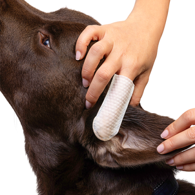 Goo-eez® Lingettes pour oreilles (60 unités)