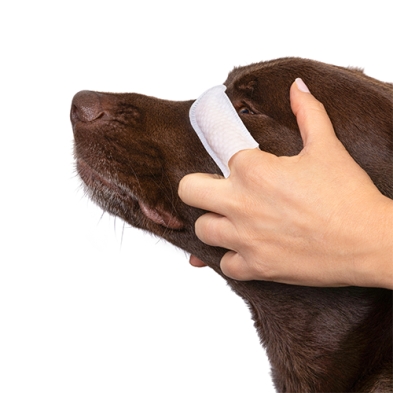 Goo-eez® Lingettes pour les yeux (60 unités)