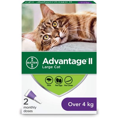 Advantage II Grand Chat Plus De 4Kg, 2 tubes