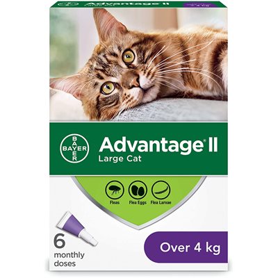 Advantage II Grand Chat Plus De 4Kg, 6 tubes