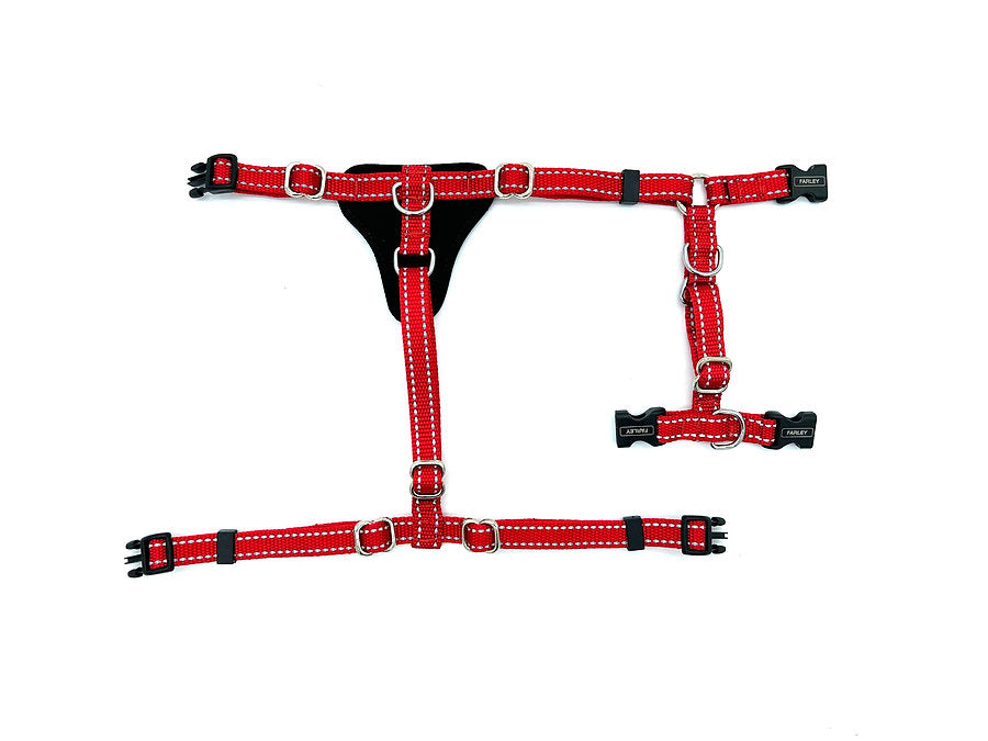 Farley harnais de nylon ajustable