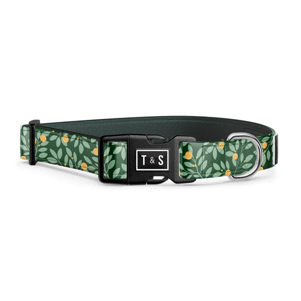 Tella & Stella Collier Chien Collection Motif