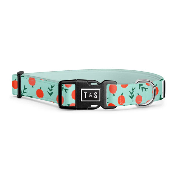 Tella & Stella Collier Chien Collection Motif