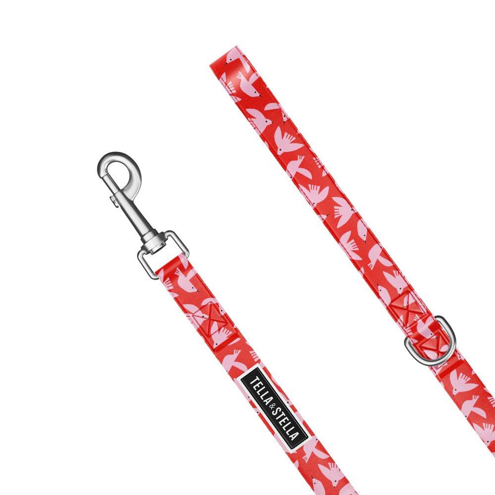 Tella & Stella Laisse Pour Chien Collection Motif