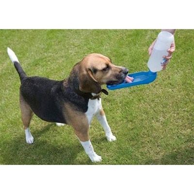 Savic Aqua Boy 550Ml