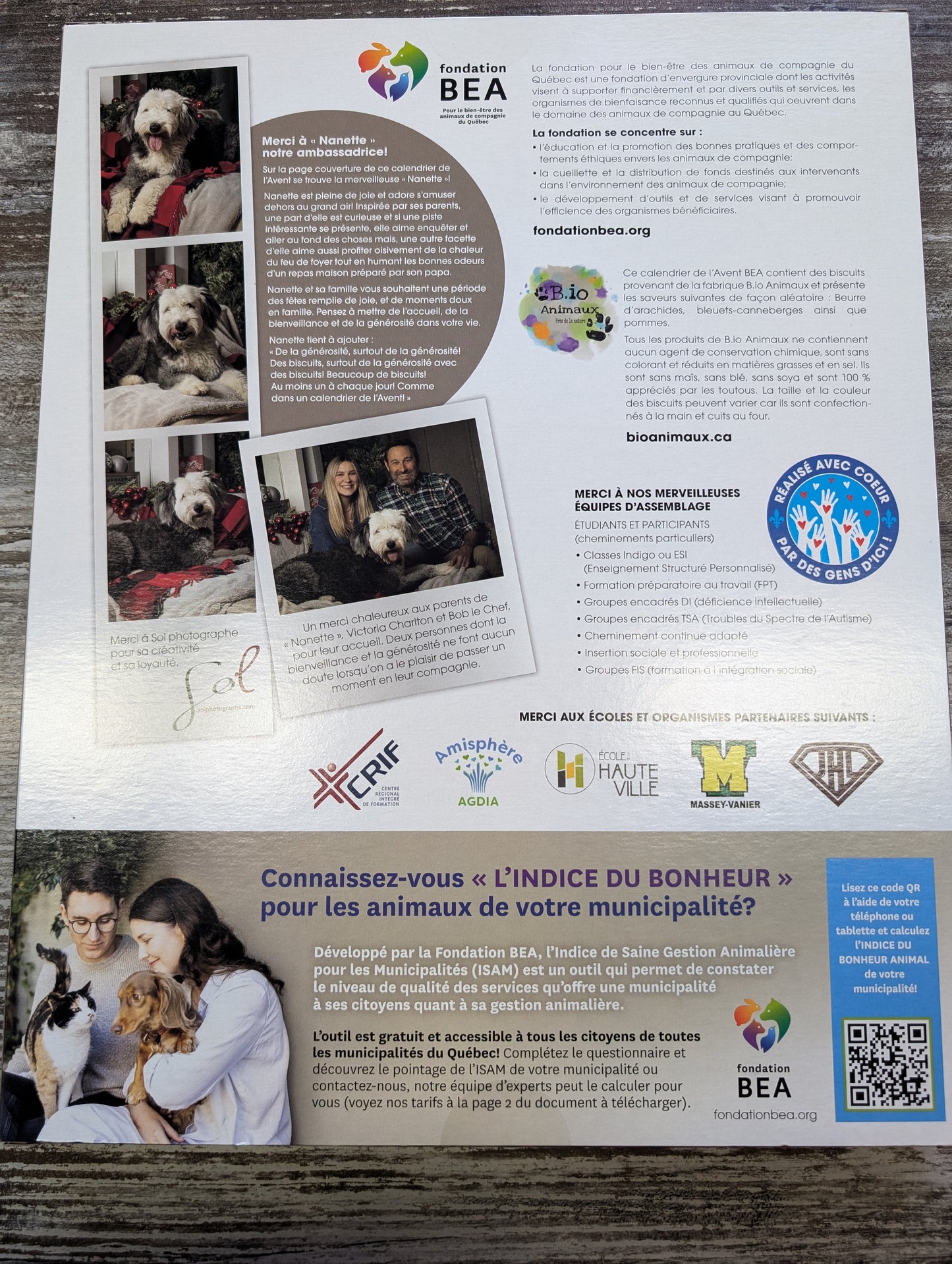 Calendrier de l'Avent pour Chien de la fondation BEA