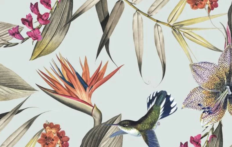 Dabadoo Maison Oiseau