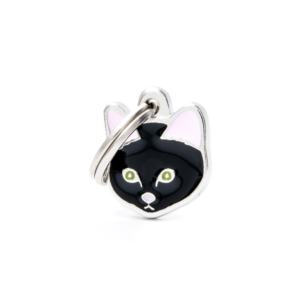 Black European Shorthair
