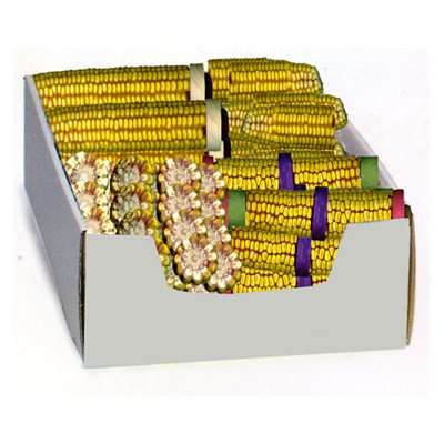 Maïs Séchés Assortis Boîte X32