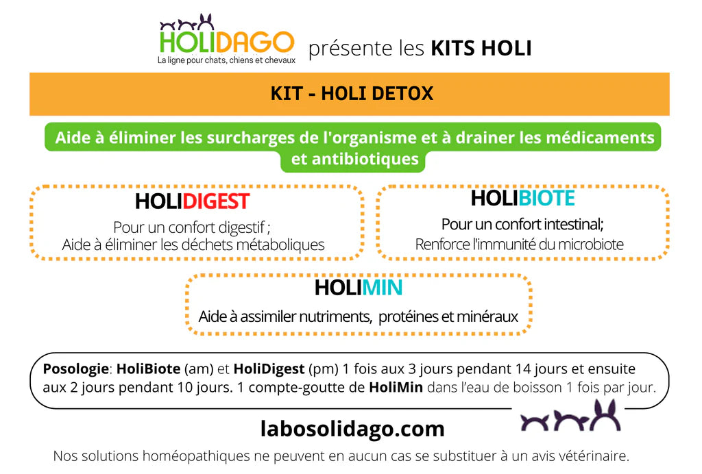 Holidago Kit Holi-Détox