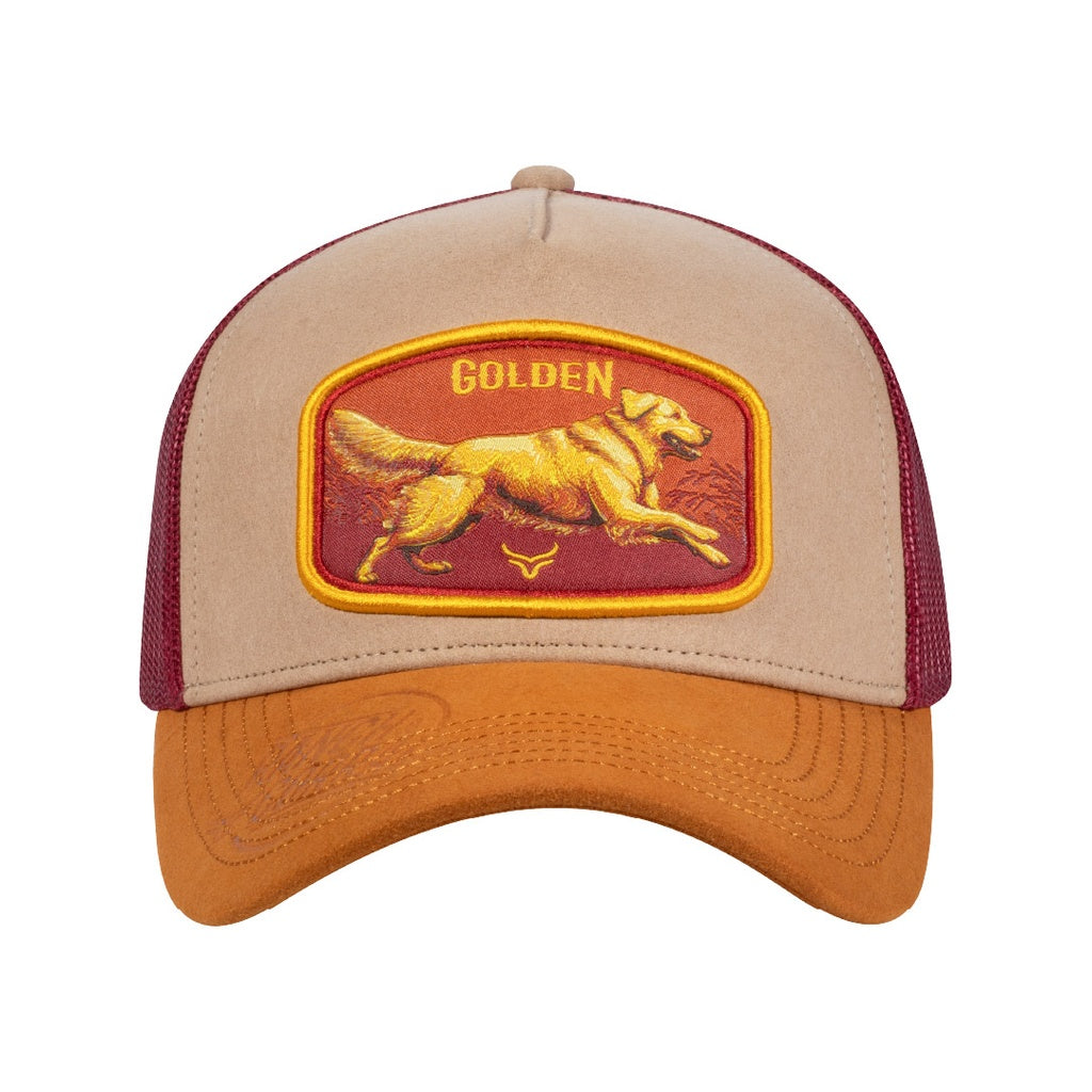 Ranch And Corral , Golden Retriever