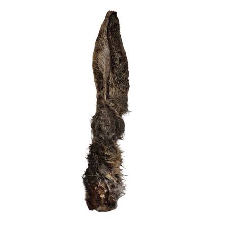 Oreille De Lapin