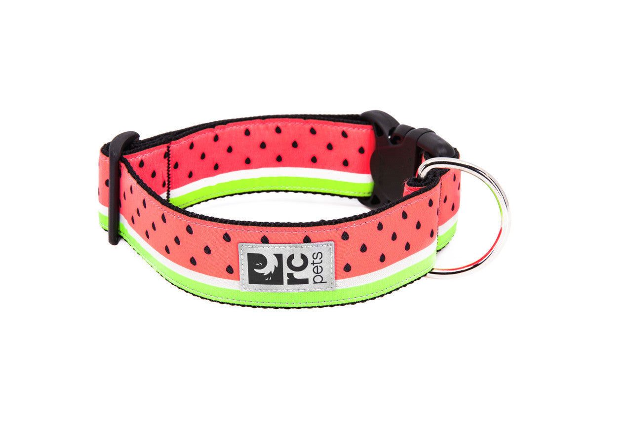 Rc Pets Collier large 1 1/2'' a motifs
