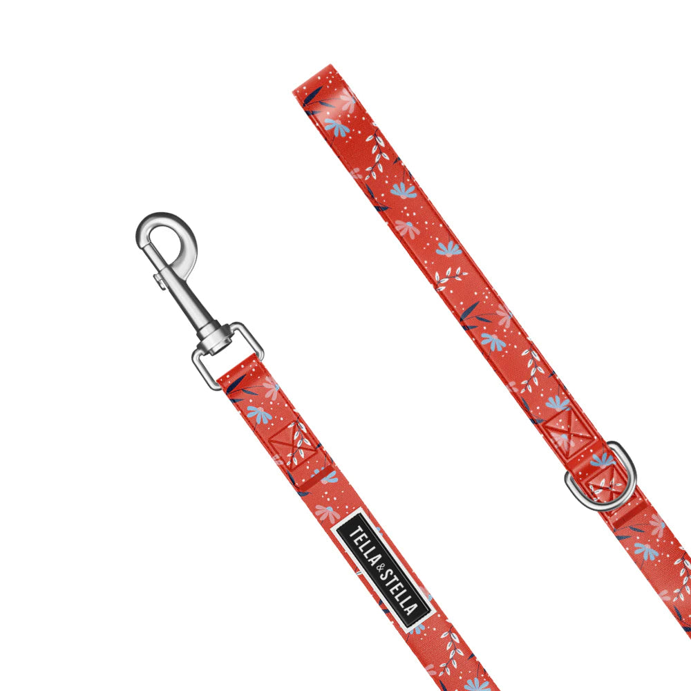 Tella & Stella Laisse Pour Chien Collection Motif