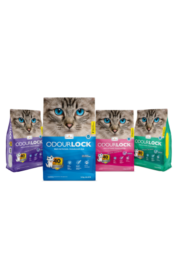 Intersand Odourlock Litiere pour chat