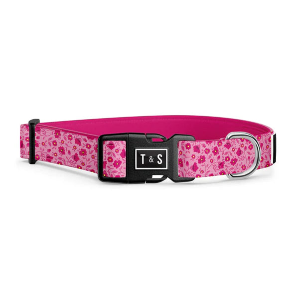 Tella & Stella Collier Chien Collection Motif