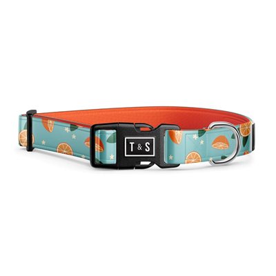 Tella & Stella Collier Chien Collection Motif