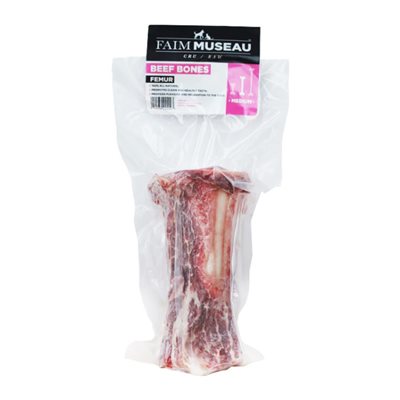 Faim museau Os Moyen Fémur