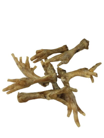 Pied De Poulet Géant