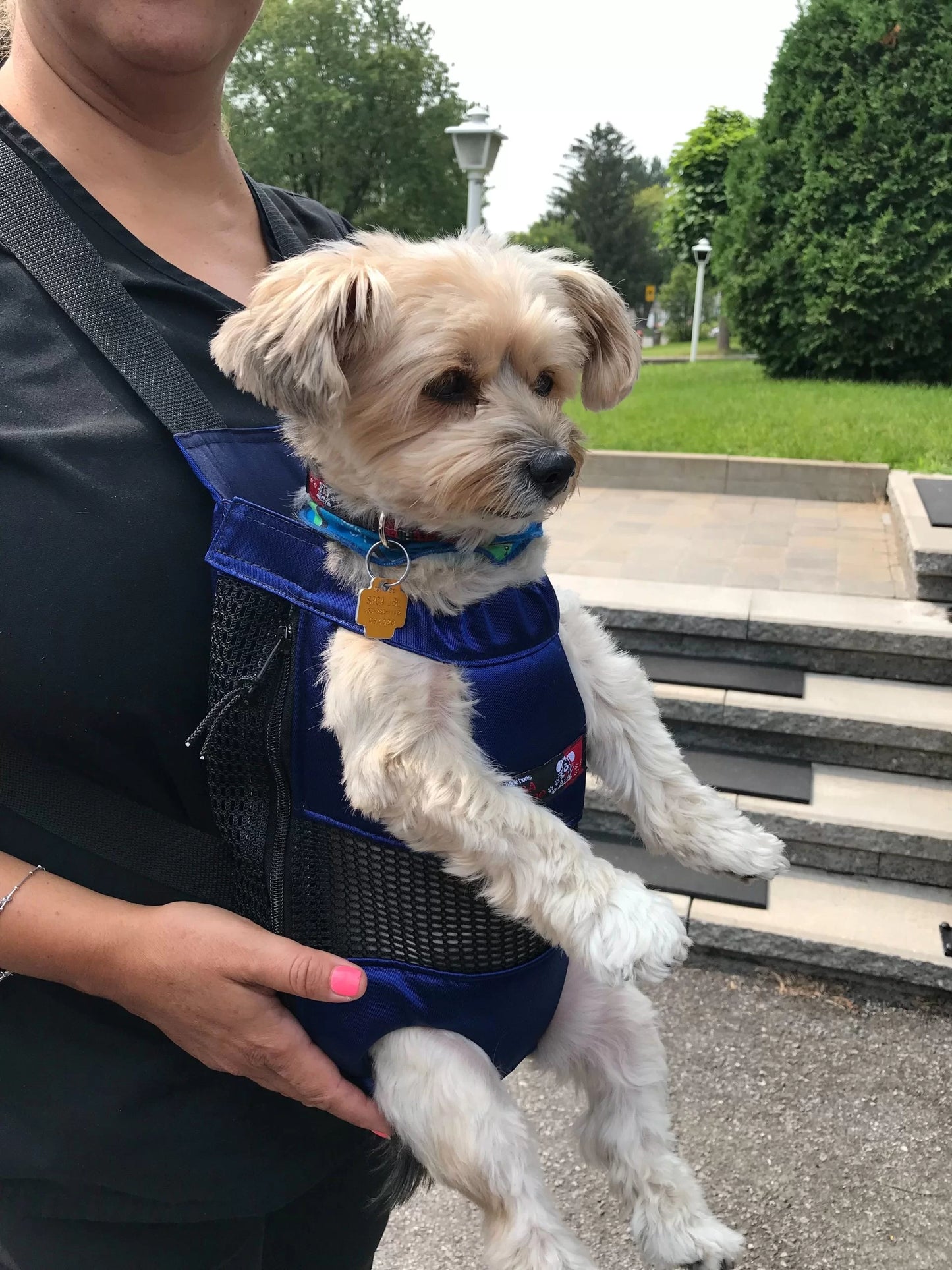 Dabadoo Pooch Pack