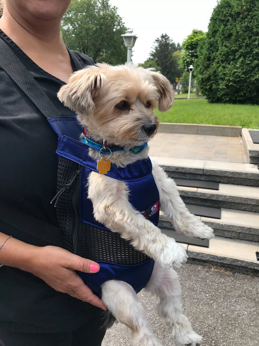 Dabadoo Pooch Pack