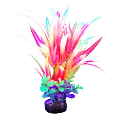 Plante iGlo Marina, 14 cm (5,5 po)