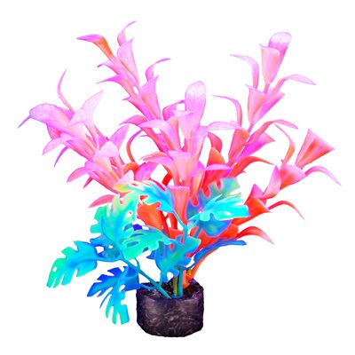 Plante iGlo Marina, 14 cm (5,5 po)