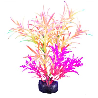 Plante iGlo Marina, 19 cm (7,5 po)