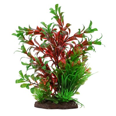 Ludwigia rouge et sagittaire naine Plant Scapes Aqualife Fluval, 20 cm (8 po)