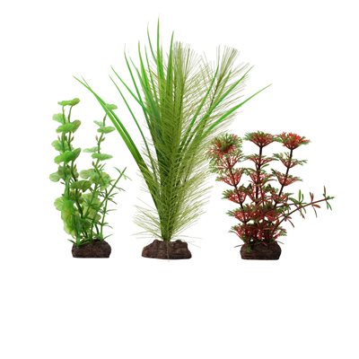 Collection de 3 plantes Limnophila rouge Plant Scapes Aqualife Fluval, 10-20 cm (4-8 po)